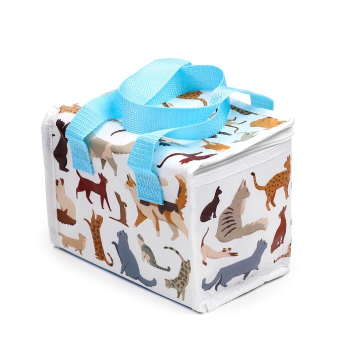 Feline Cats Insulated Lunch Bag