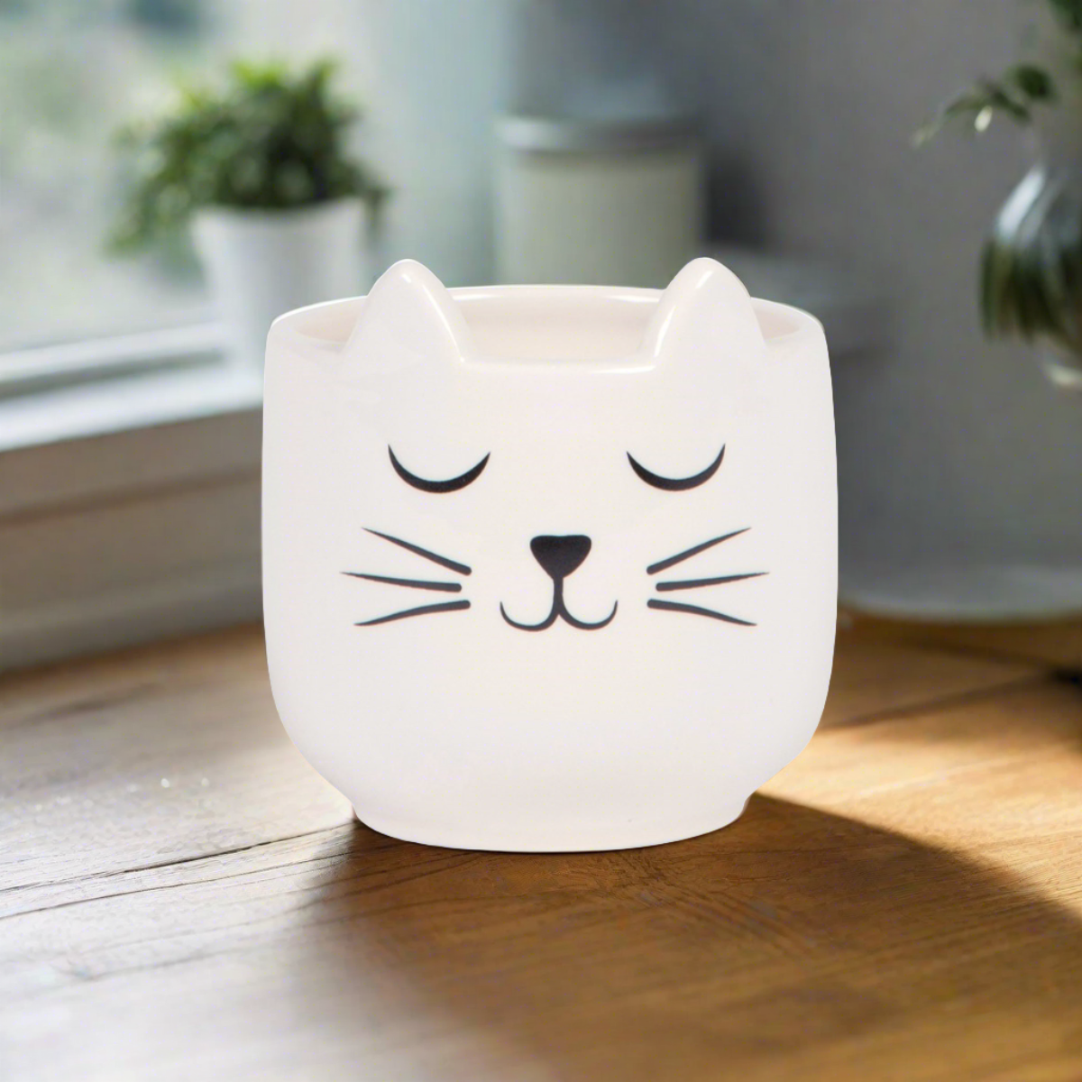 Mini Cat's Whiskers White Planter