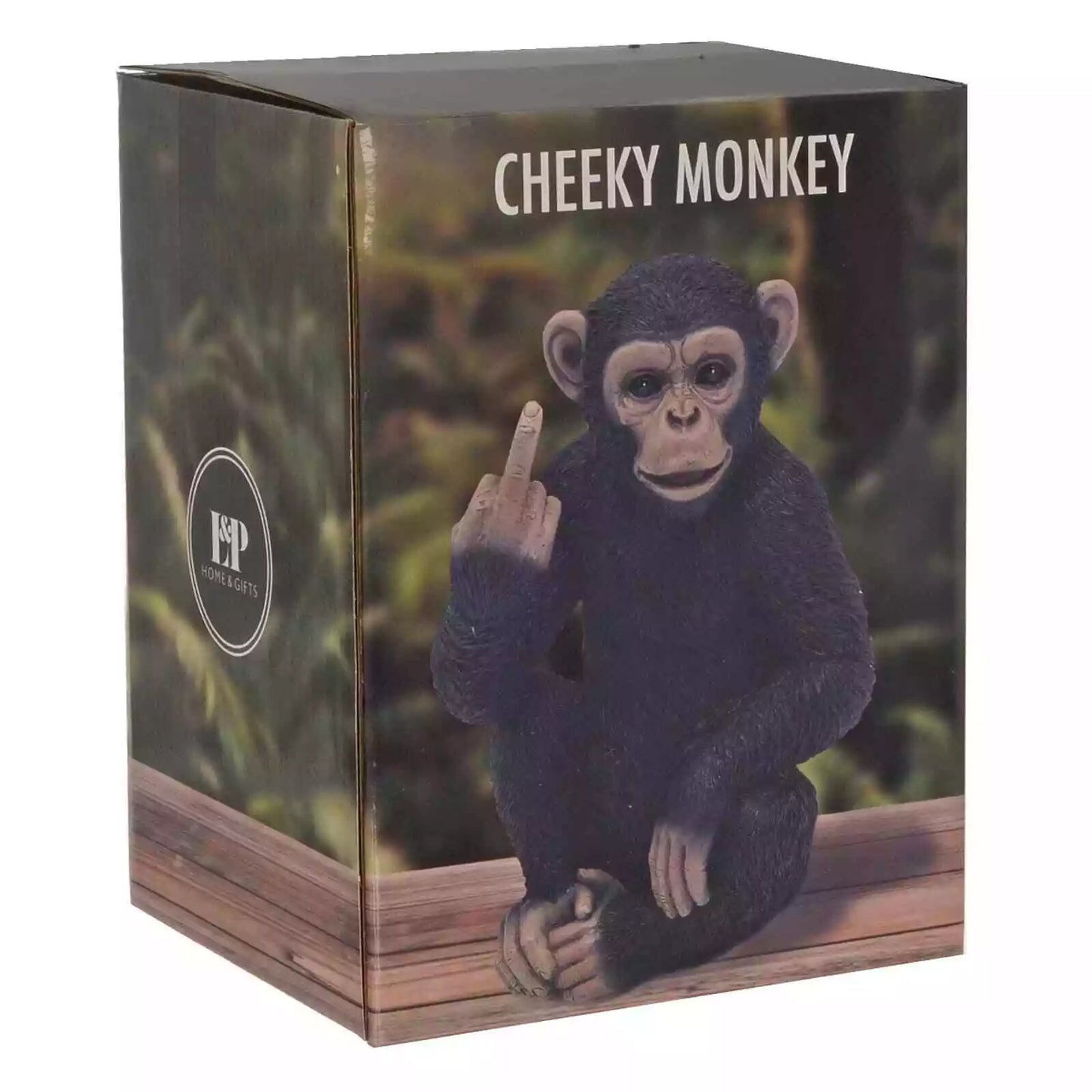 Cheeky Monkey Figurine in gift box packaging – humorous home decor
