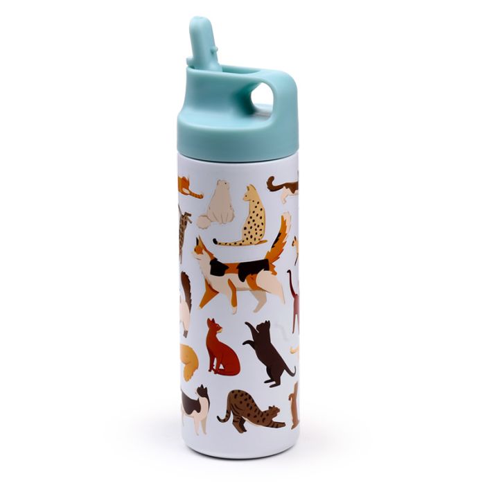 Feline Fine Cats Hot & Cold Flip Top Drinks Bottle