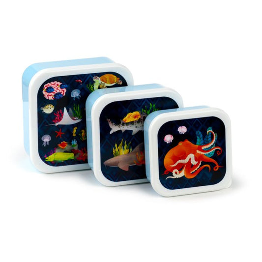 Marine Kingdom Set of 3 Lunch Boxes