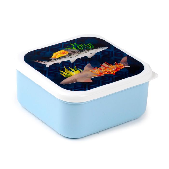 Marine Kingdom Set of 3 Lunch Boxes