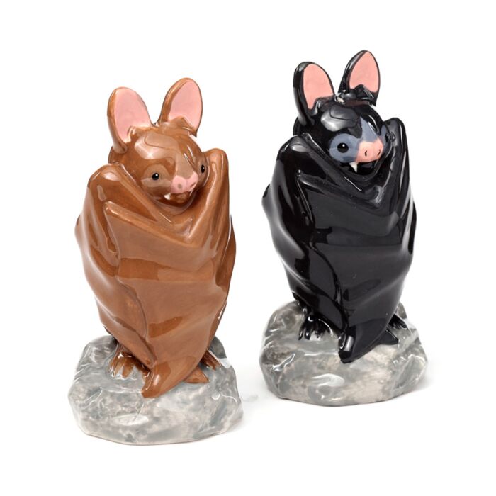 Puckator Bat Ceramic Salt and Pepper Shakers – Set of 2 on rocky base