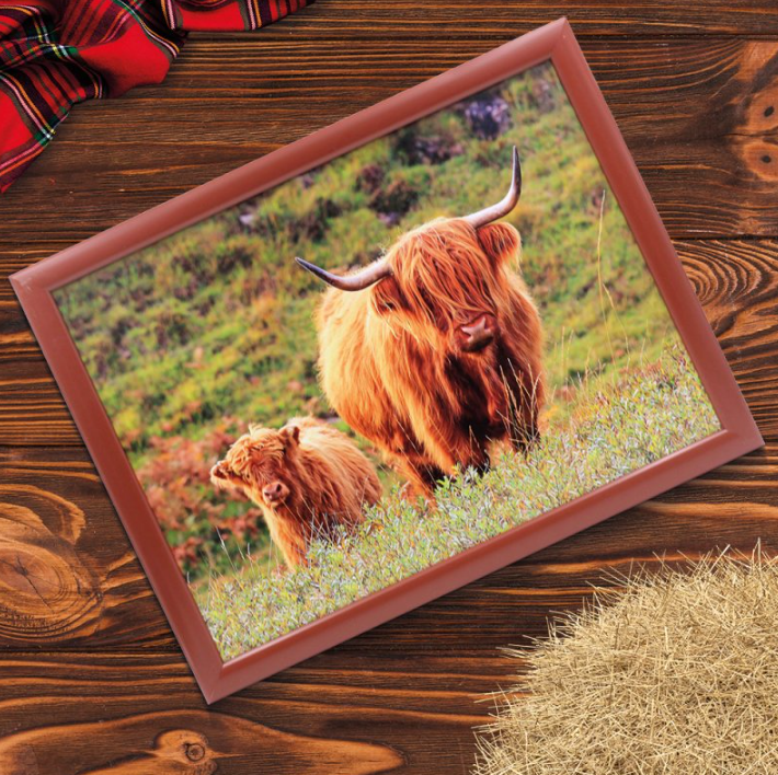 Highland Cow & Calf Laptray