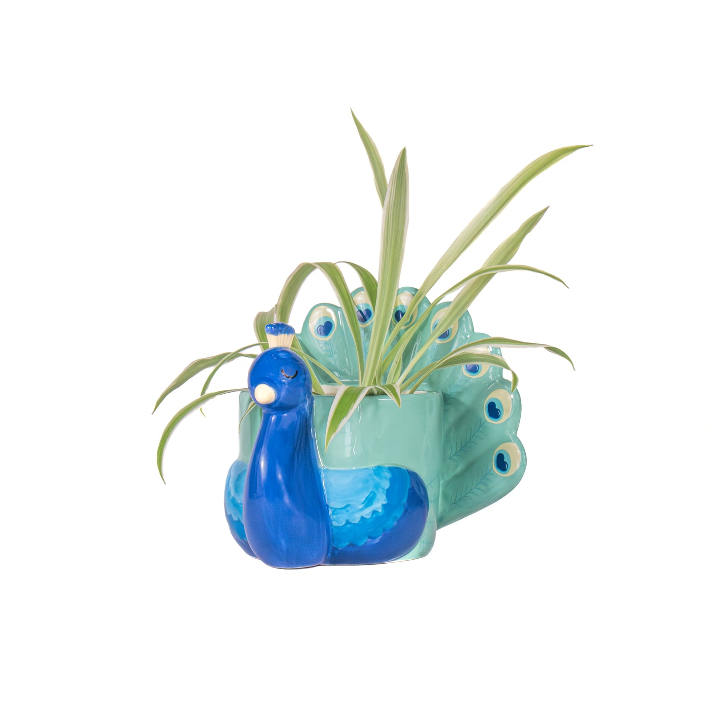 Peacock shaped decorative mini planter front view
