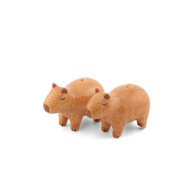 Sass and Belle Capybara salt and pepper shakers ceramic set