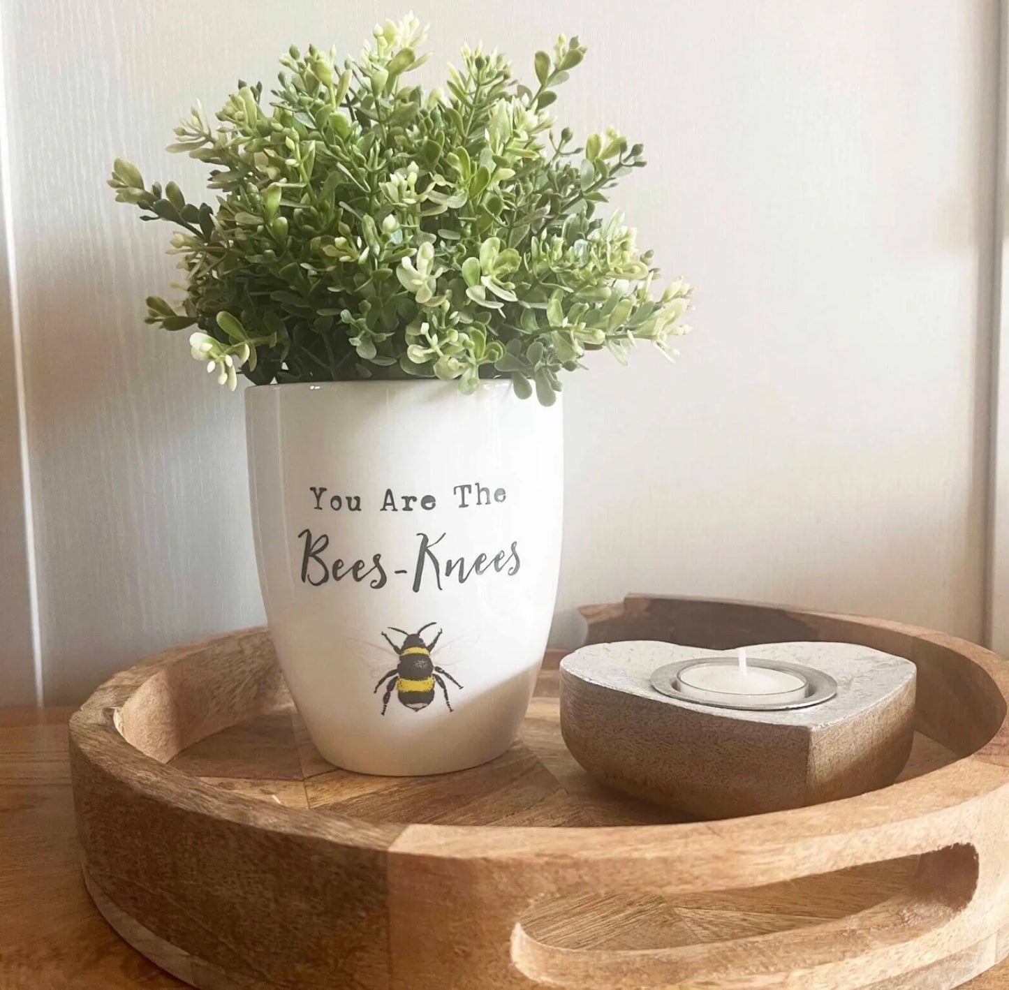 "You Are The Bees-Knees" Planter