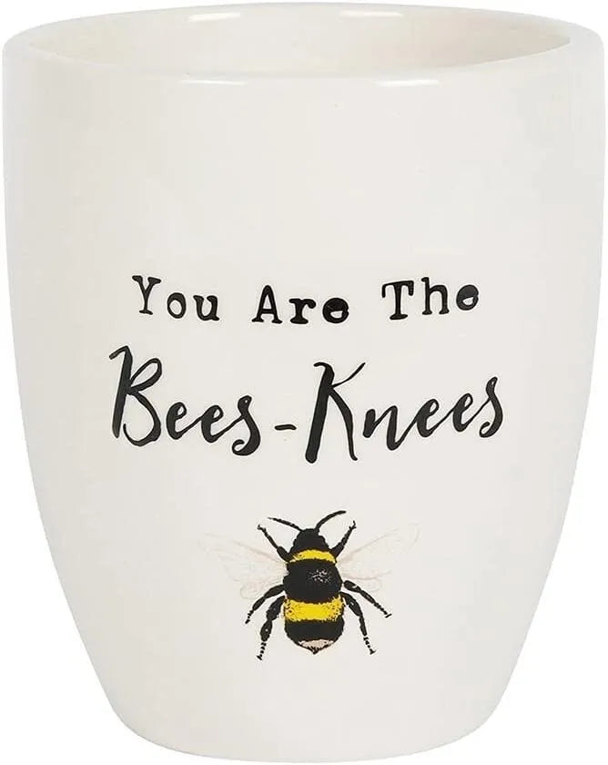 "You Are The Bees-Knees" Planter